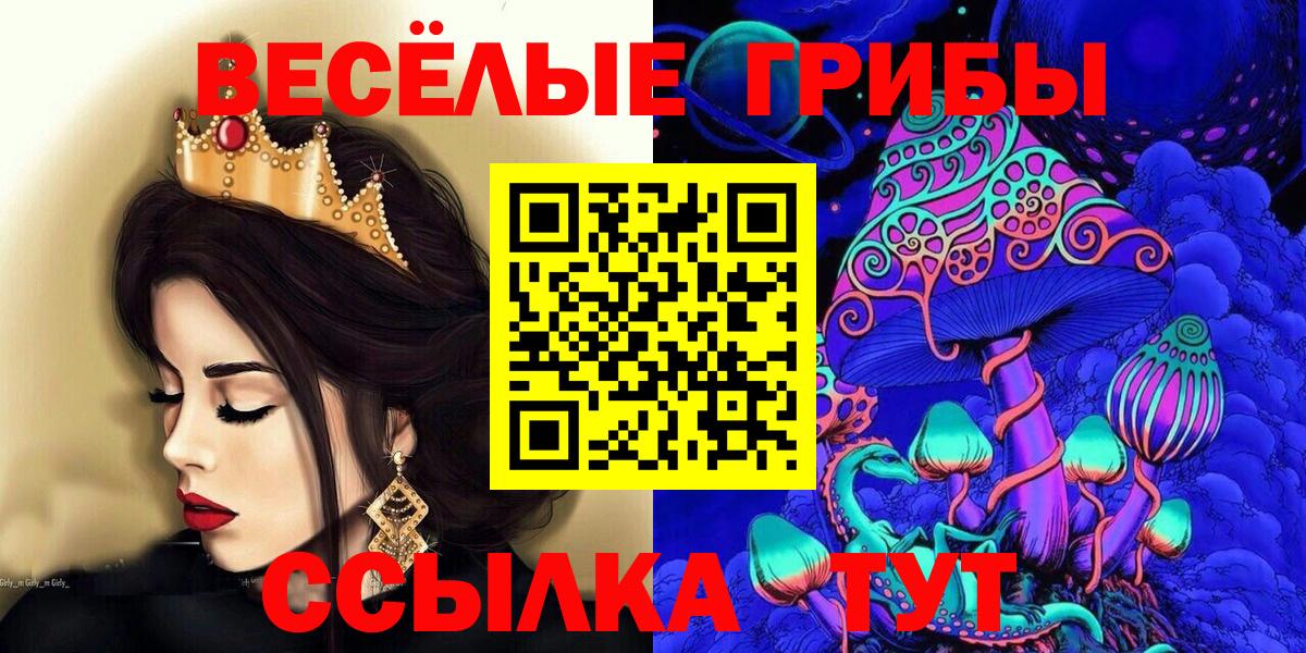 Кудымкар  Галлюциногенные грибы Cubensis  Вход с VPN  Псилоцибиновые грибы мухоморы 